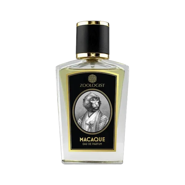 Zoologist Macaque