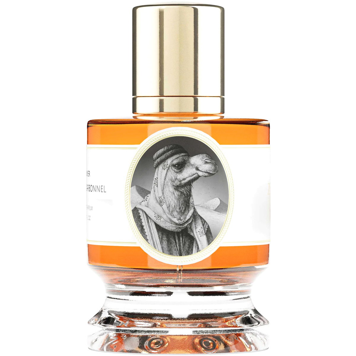 Zoologist Camel