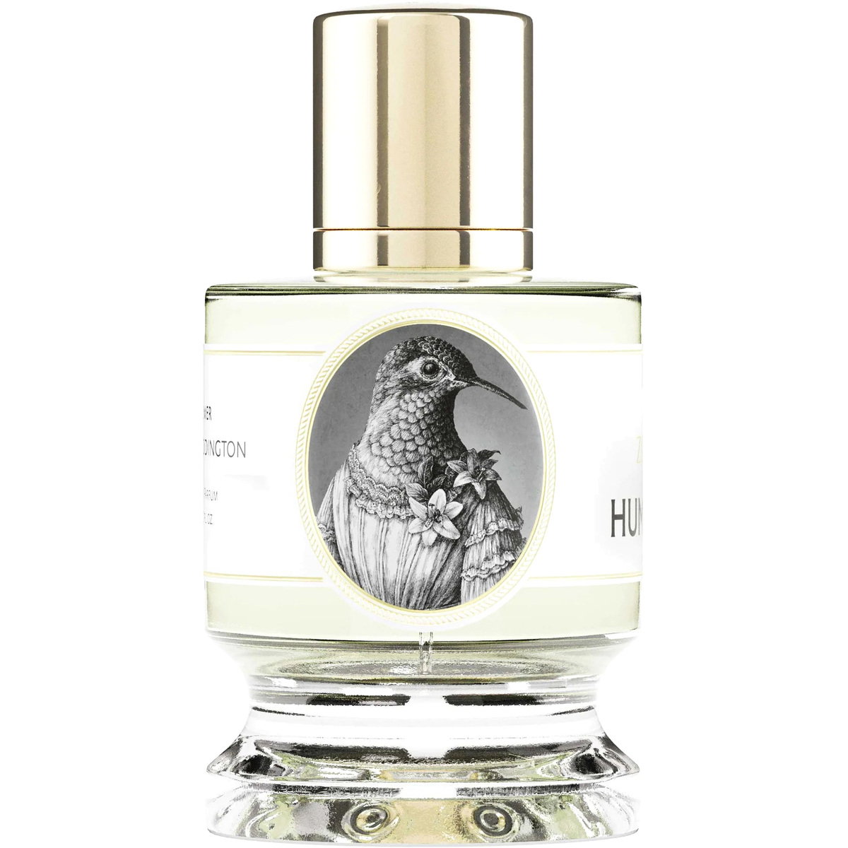 Zoologist Hummingbird