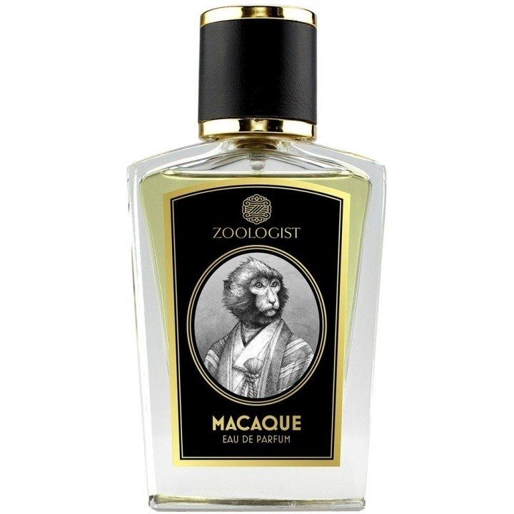 Zoologist Macaque